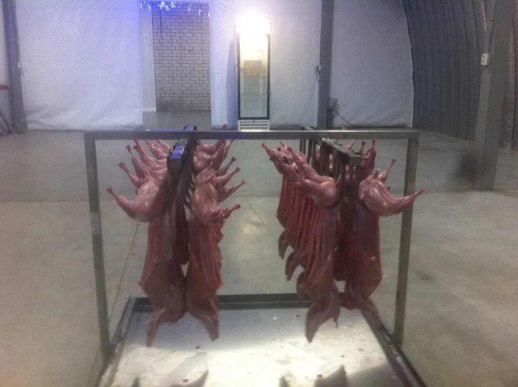 мясо кролика охлаждённое 400 руб/кг в Тамбове 3