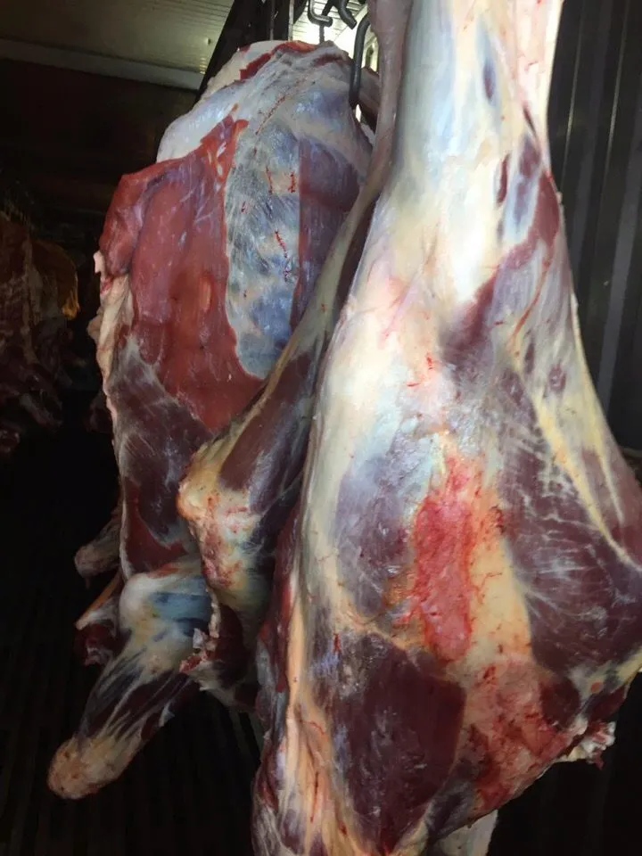 мясо говядины оптом в Тамбове