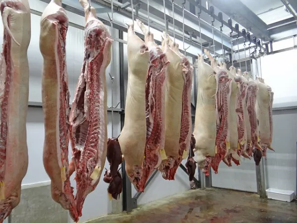 Тамбовская область втрое увеличила объем экспорта продукции свиноводства