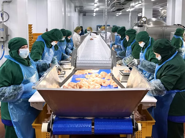 Крупнейший российский производитель мяса птицы  и федеральная сеть ресторанов быстрого питания реализовали совместный проект в тамбовской области