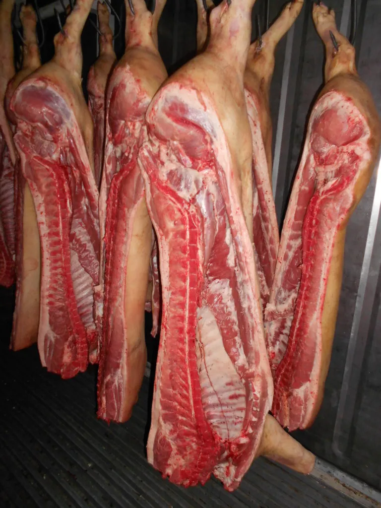 фотография продукта Свинина в полутушах  1-2 кат. охл.