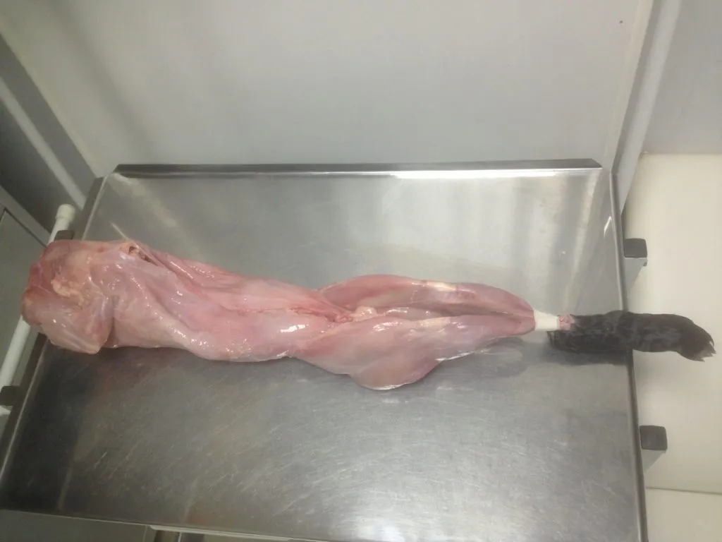 фотография продукта мясо кролика