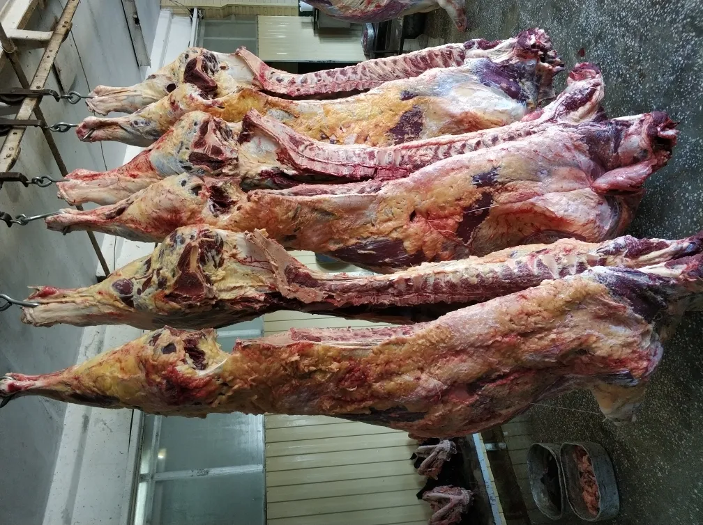 Фотография продукта Мясо коров в полутушах/четвертях охл/зам