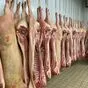 свиные отрубы в Тамбове и Тамбовской области