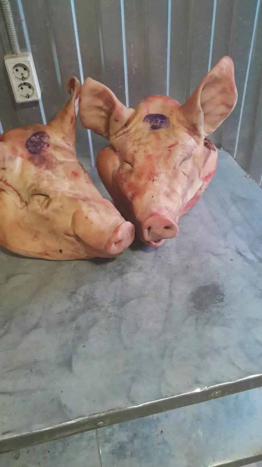 фотография продукта Головы свиные не ограбленные